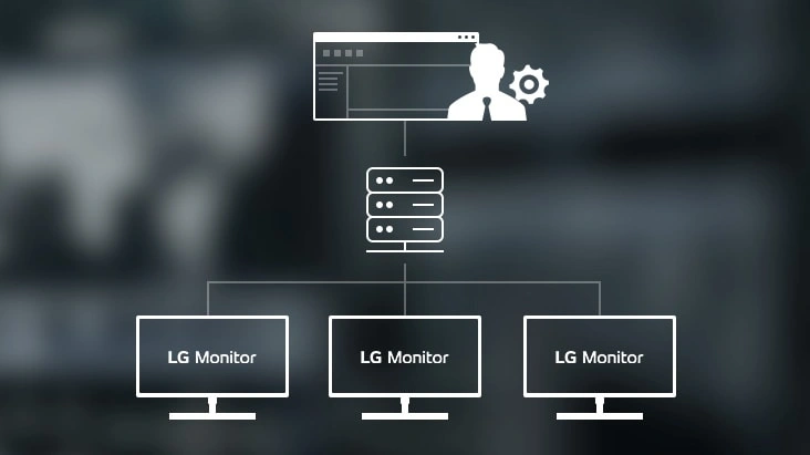 CLI (Command Line Interface)