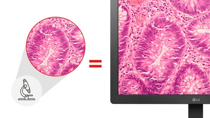 Pathology mode