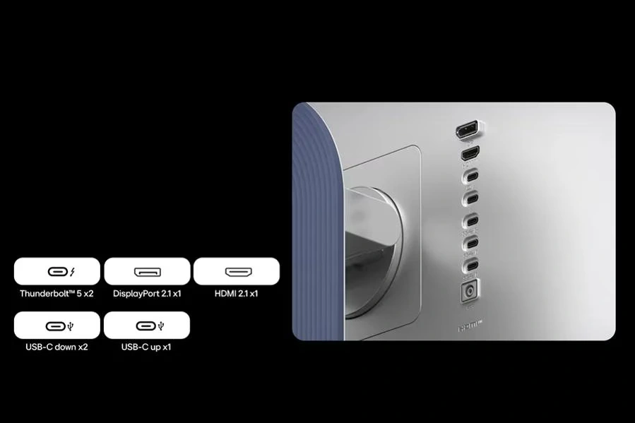 Versatile Connectivity for Pro-Level Setups