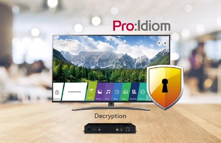 Embedded Pro:Idiom Decryption