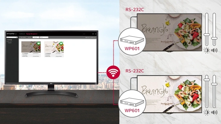 Display Control Capability