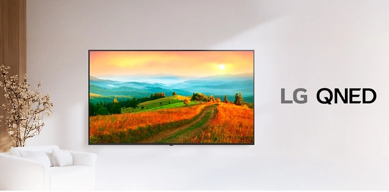 QNED TV