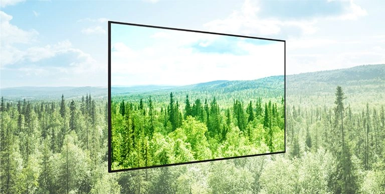 Award-winning sustainability recognition